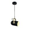 LAMPARA COLGANTE PIXER ACABADO BK – NEGRO 1 LUZ Q60665-BK QUOR LIGHTING