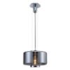 LUMINARIO DECORATIVO TIPO COLGANTE  INCLUYE BOMBILLA EG-BFS6W_V  127V  IP 20           ENERGAIN